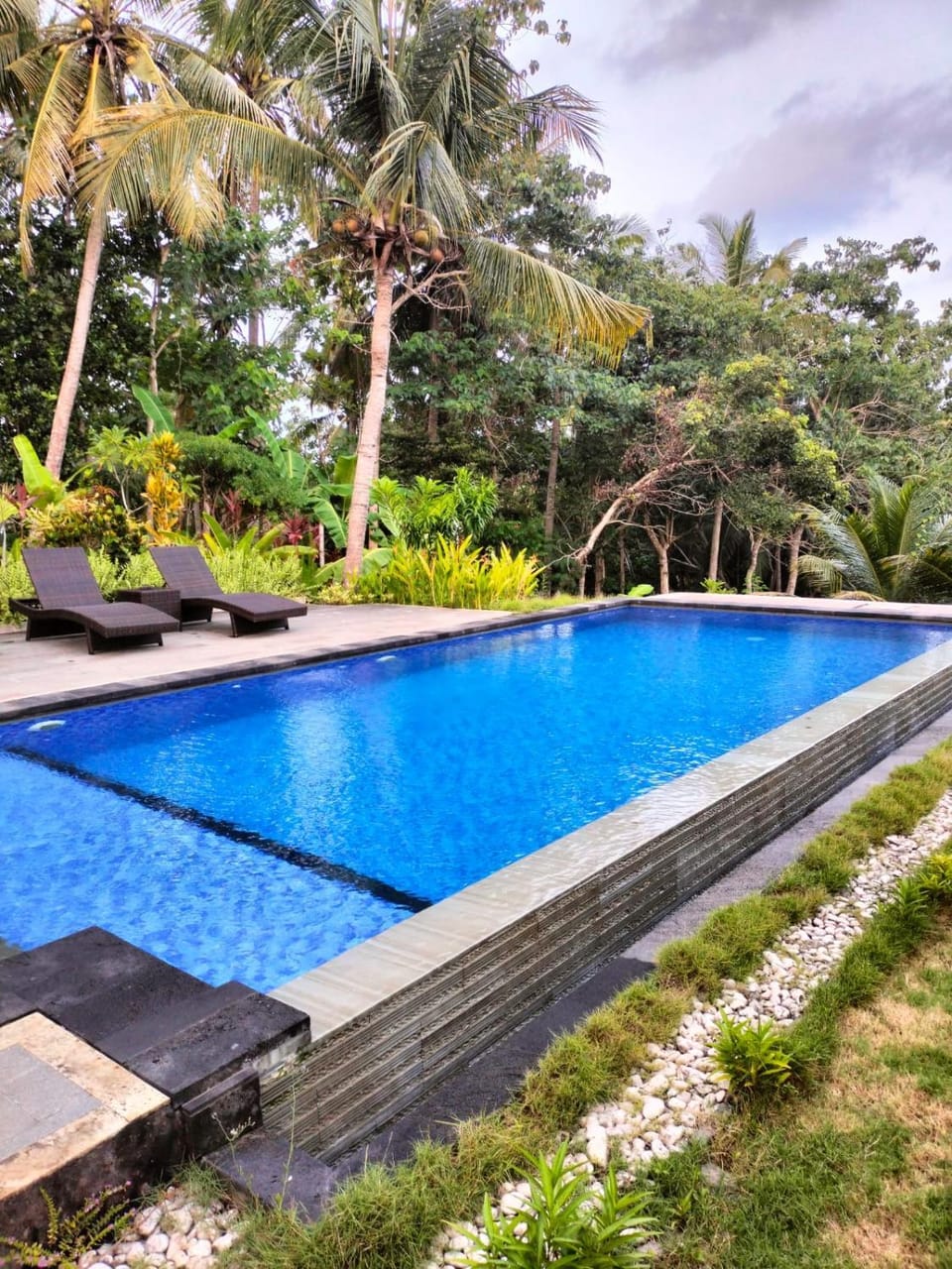 Garden, Garden view, Pool view, Swimming pool