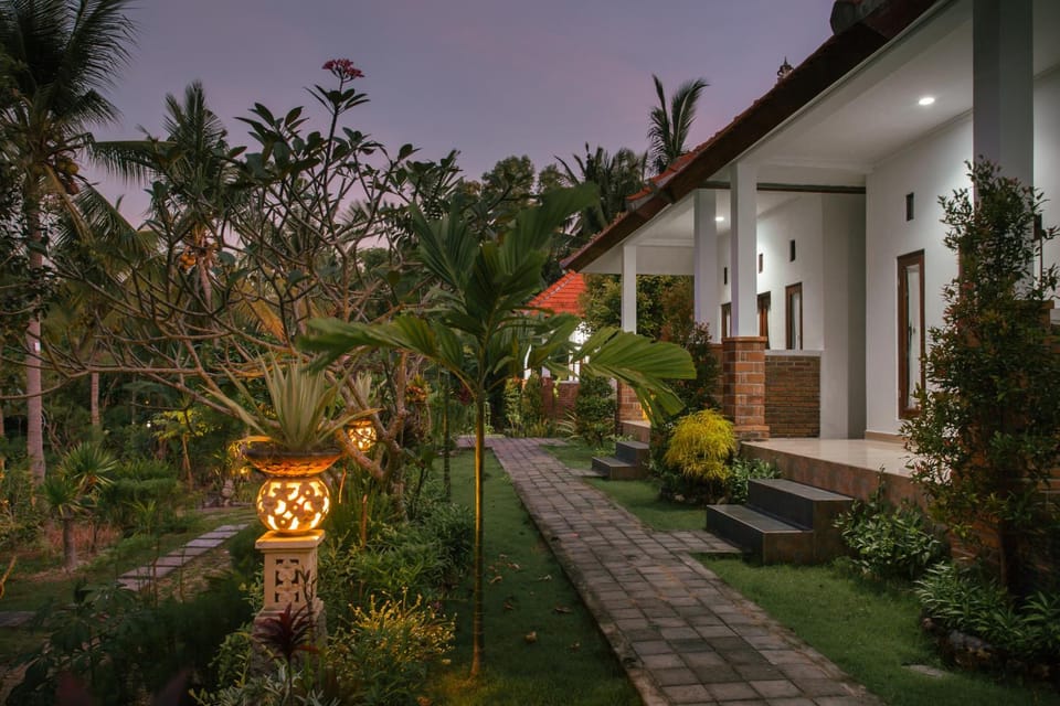 Property building, Night, Garden, Garden view