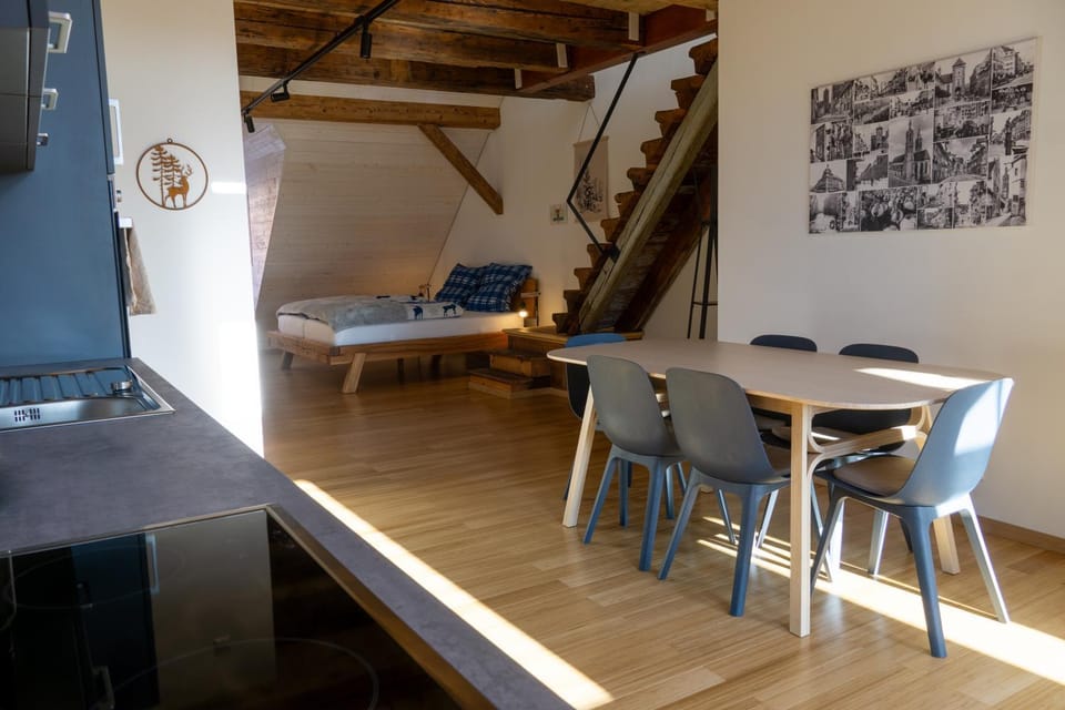 Schwarzwald Apartment City Studio Apartment in Villingen-Schwenningen