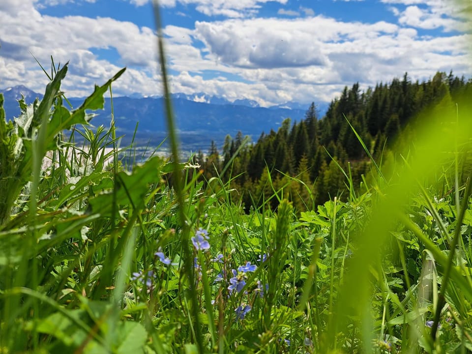 Spring, Day, Natural landscape, View (from property/room), Mountain view