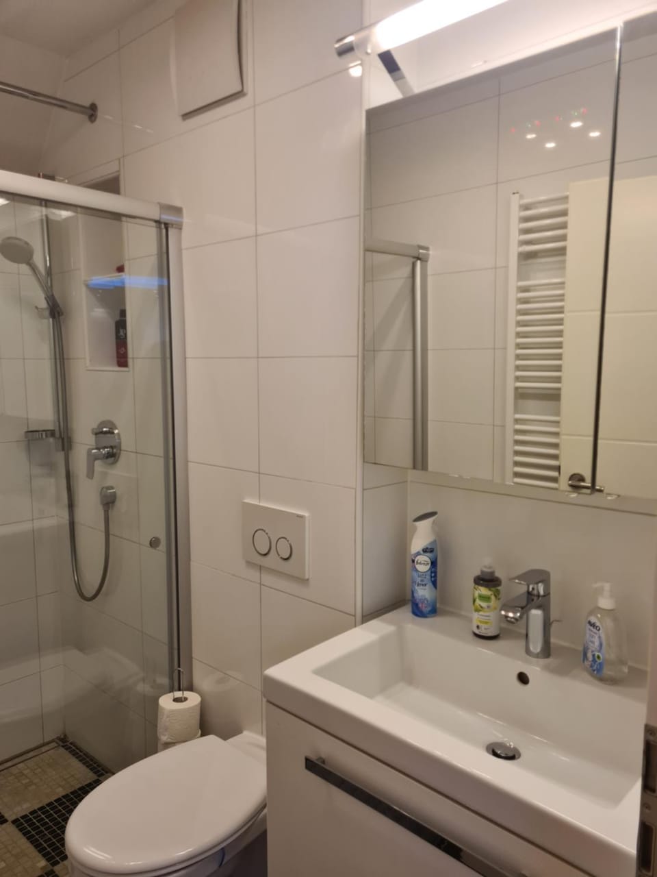 Shower, Toilet, Bathroom, towels