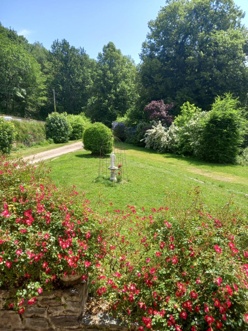 Spring, Natural landscape, Garden, Garden, Garden view