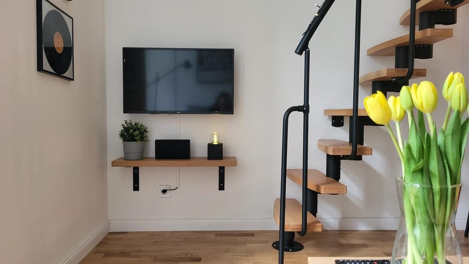 TV and multimedia