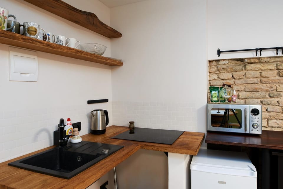 Kitchen or kitchenette, minibar, stove
