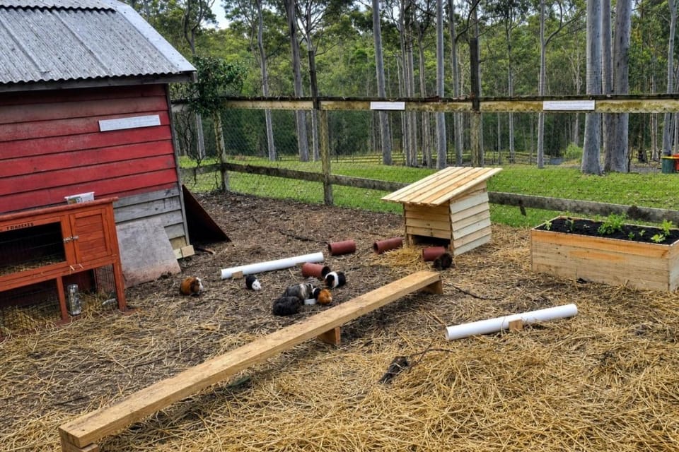 Woodland Acreage -Heated Pool -Ponies -6 x Activity Zones House in Central Coast