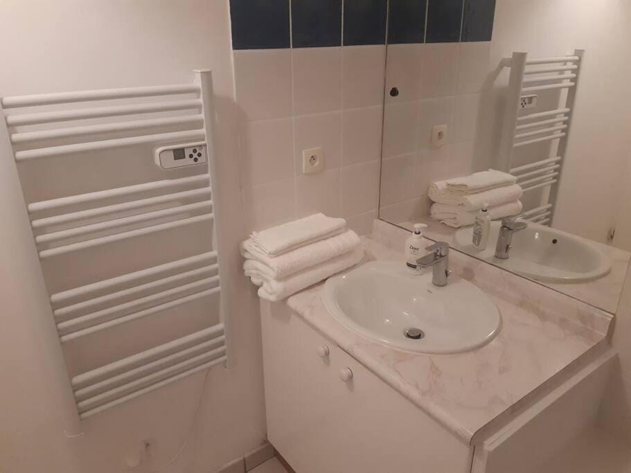 Appartement cosy Apartment in Toulouse