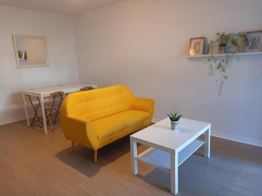 Appartement cosy Apartment in Toulouse