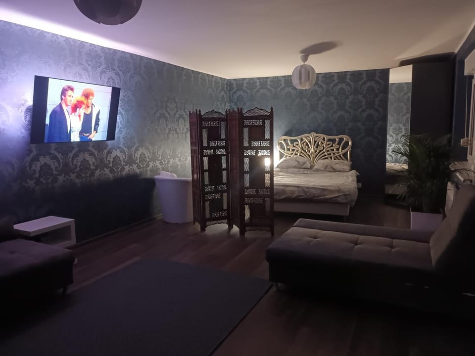 TV and multimedia, Living room, Photo of the whole room, Seating area, Bedroom