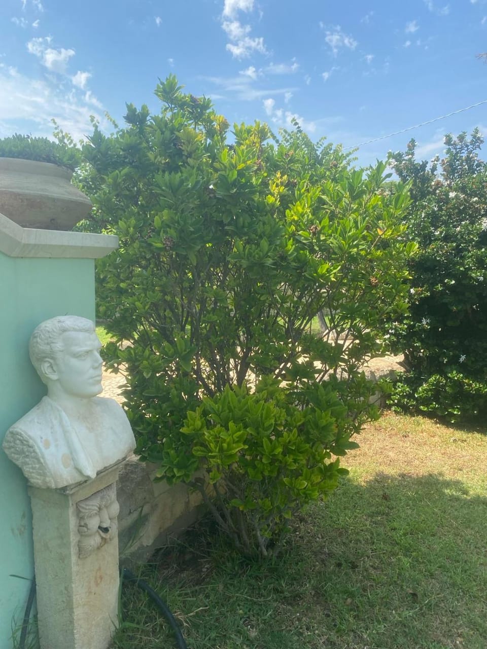 Garden, Garden