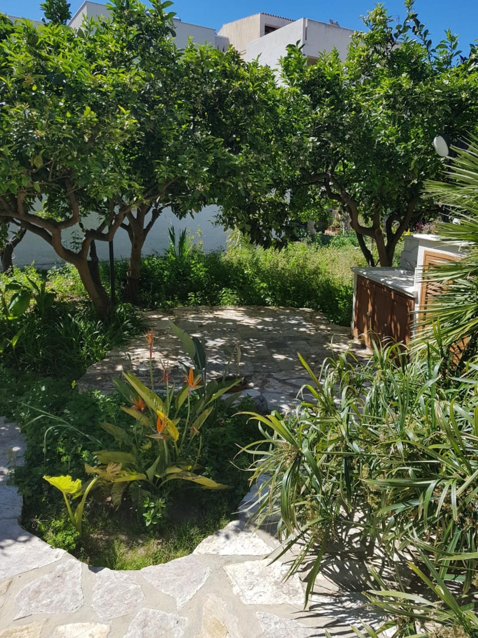 Garden view