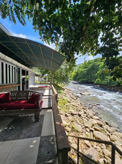 Natural landscape, River view