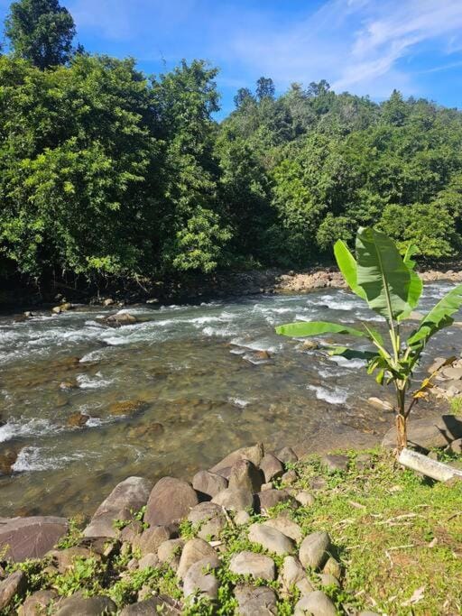 River view