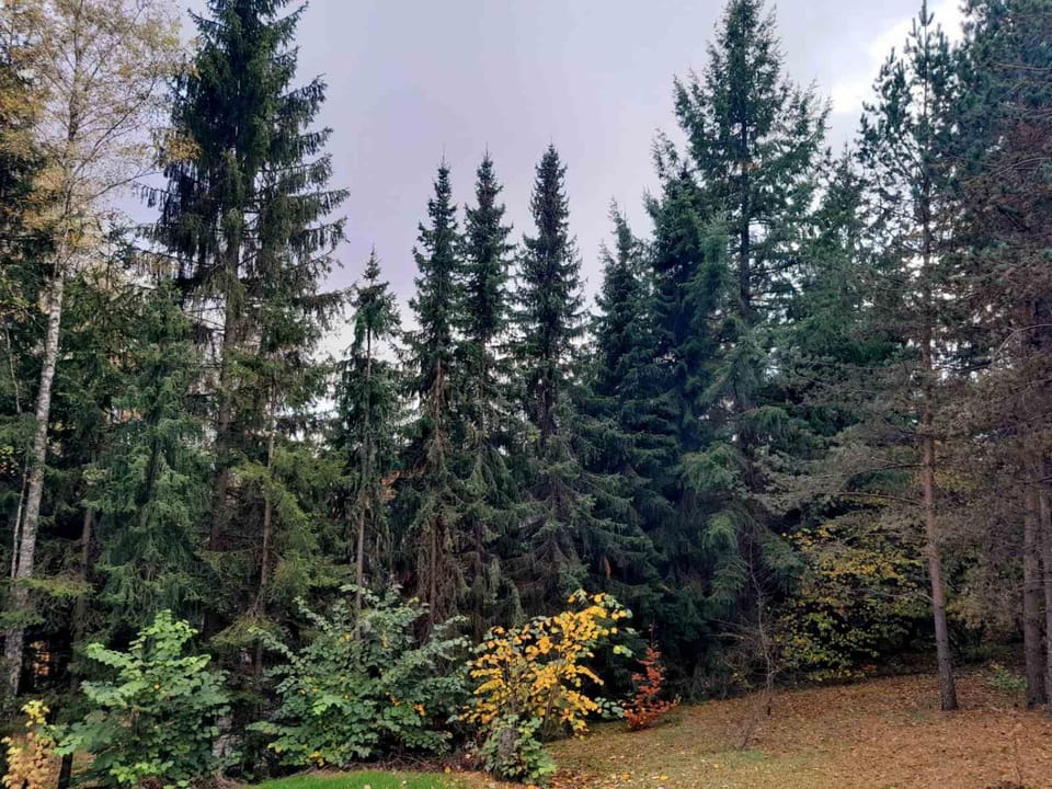 Natural landscape