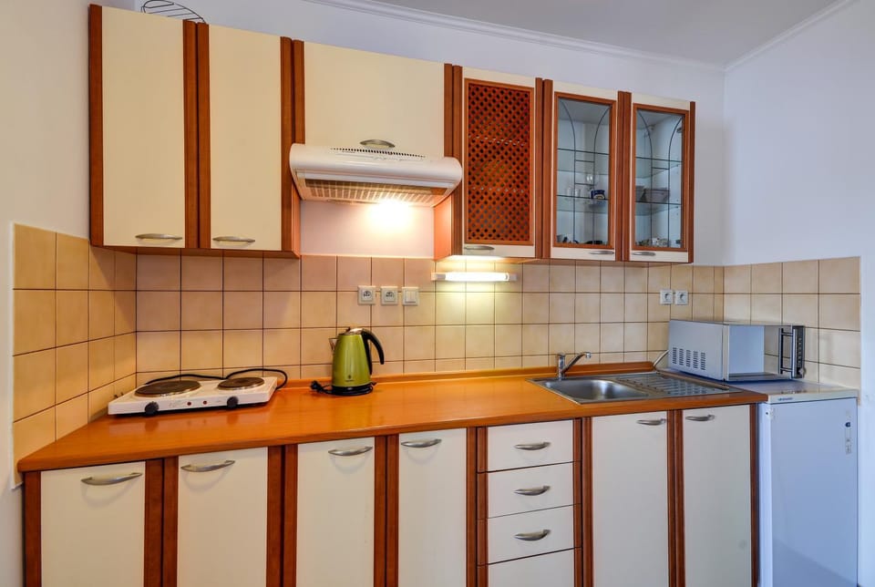 Kitchen or kitchenette, minibar, stove