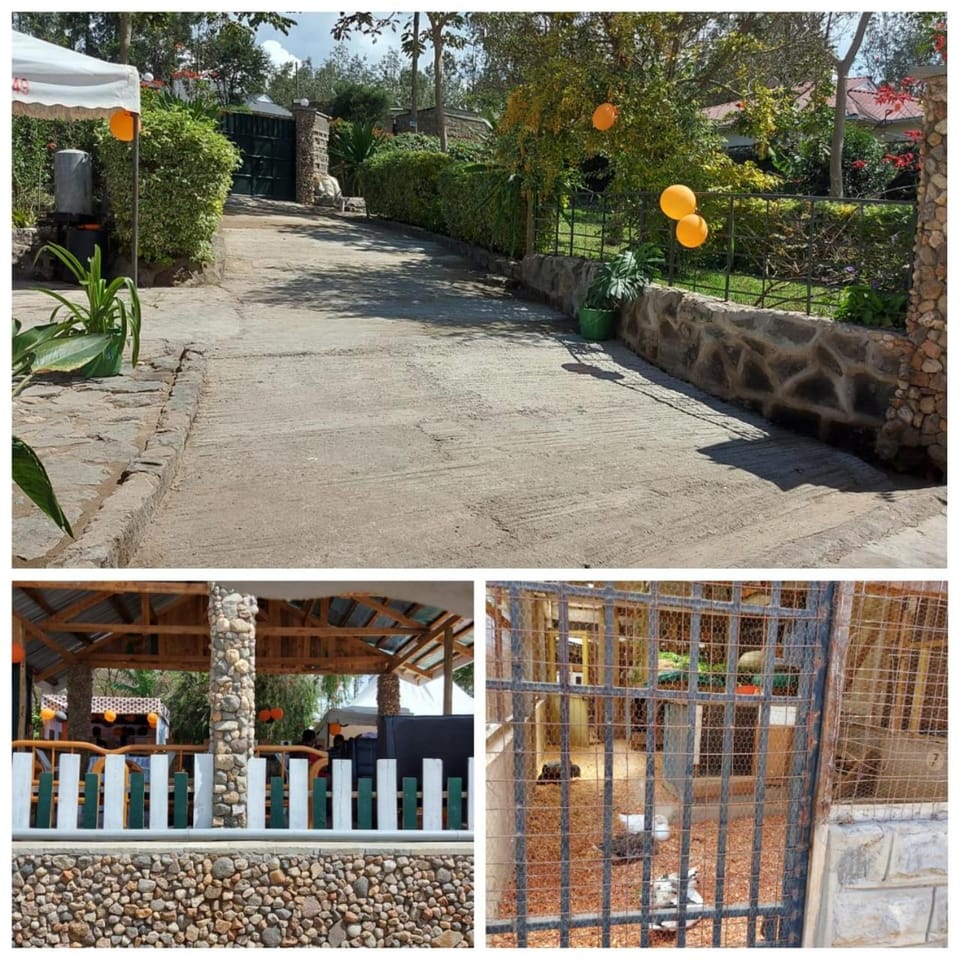 Scenic Edge Restaurant Capsule hotel in Nairobi