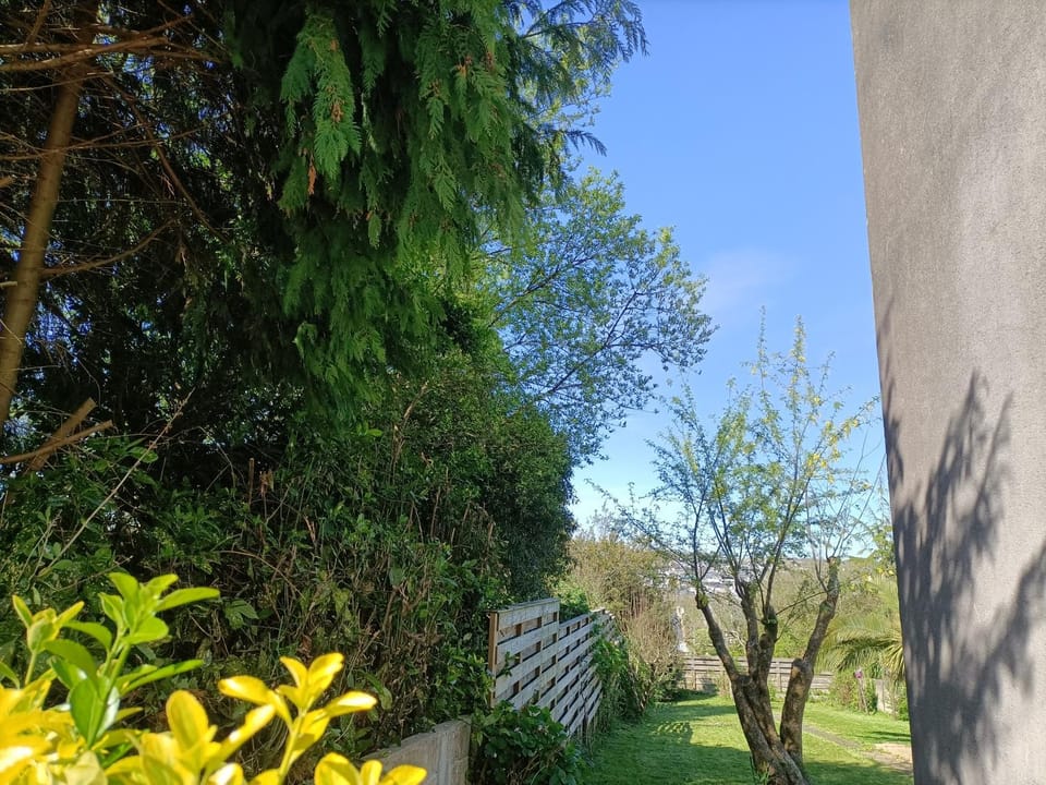 Spring, Garden, Garden view
