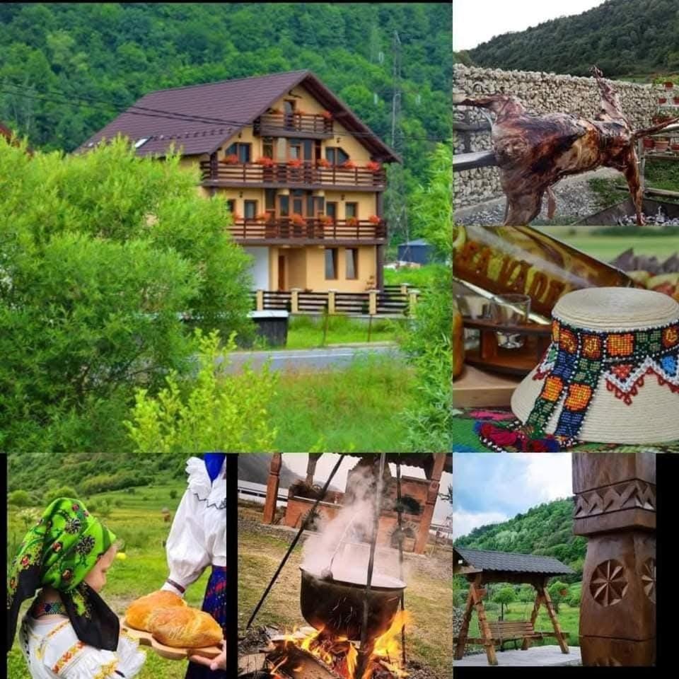 Casa Vădeanu Bed and Breakfast in Romania
