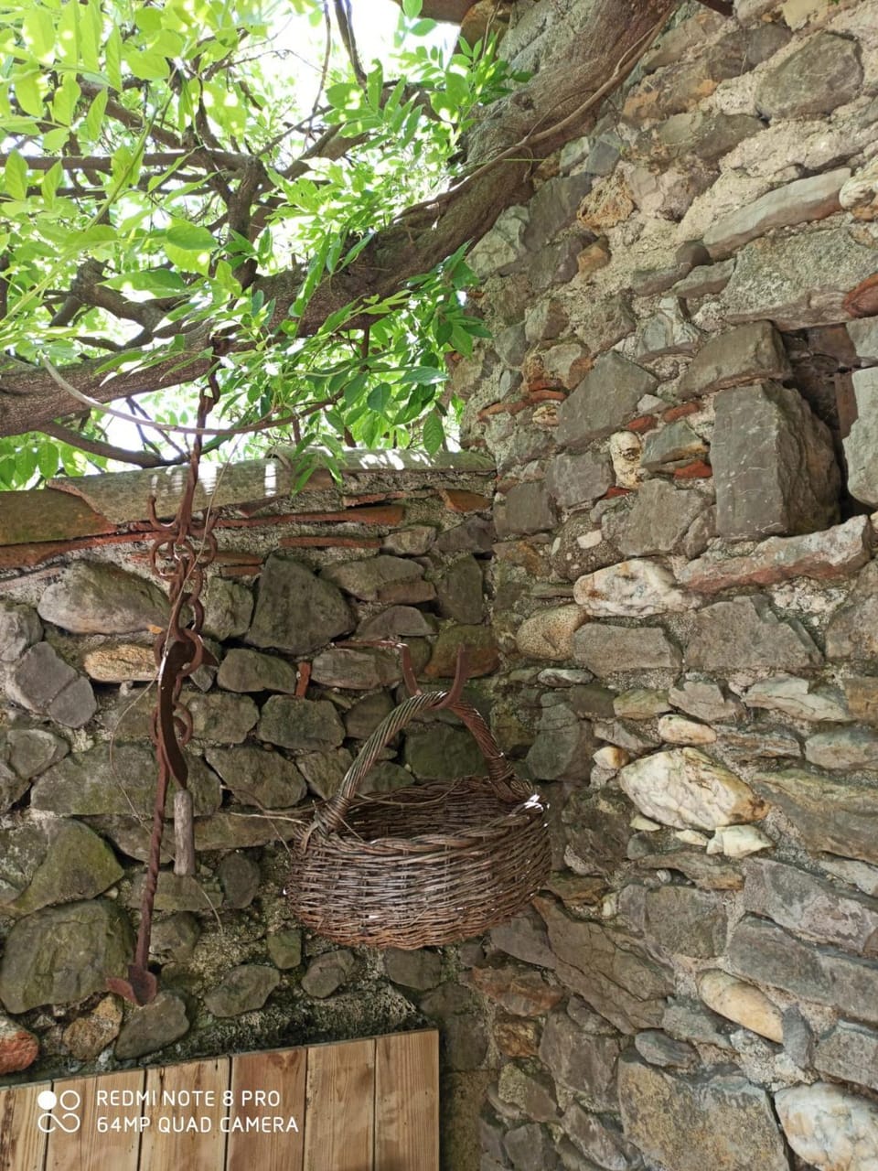 maison typique cévenole avec jardin House in Occitanie