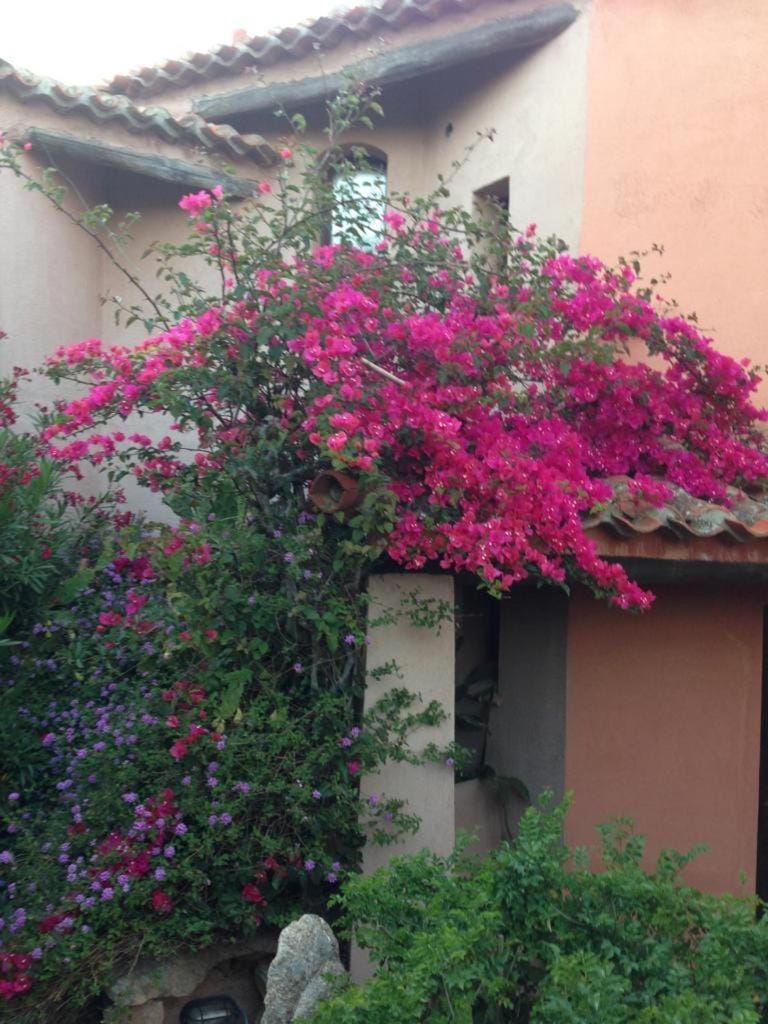 Villa in Pantogia - Residence Pevero Hill - blocco B Villa in Sardinia