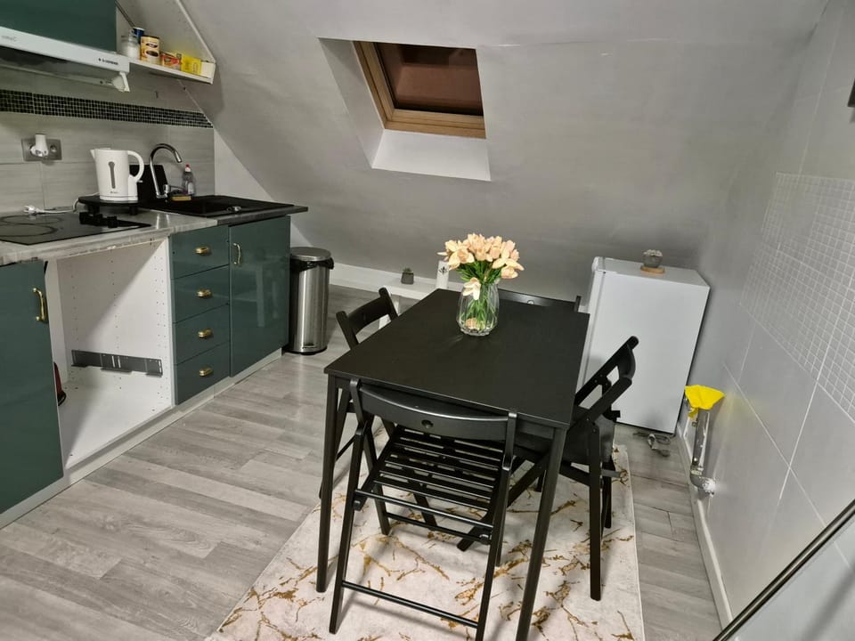 Kitchen or kitchenette, Dining area, stove