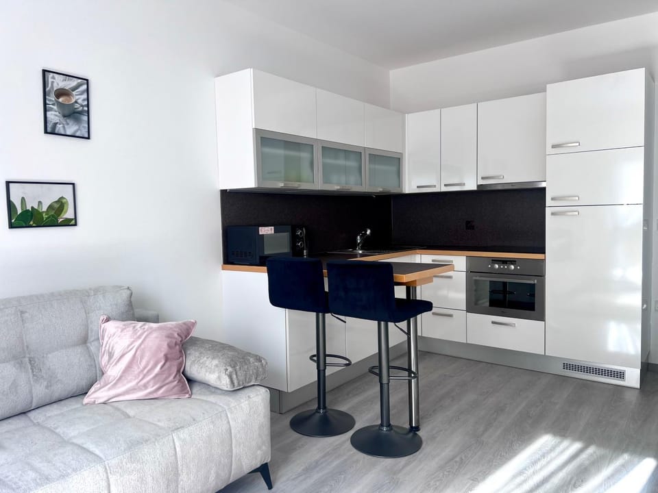 Apartmán Lakeside Apartment in Lipno nad Vltavou