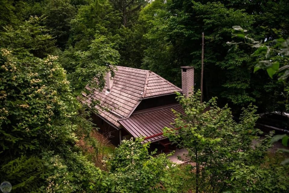Property building, Garden view