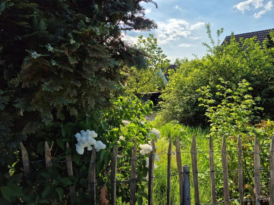 Naturnah in schönem Haus mit Garten und 10 Betten House in North Rhine-Westphalia