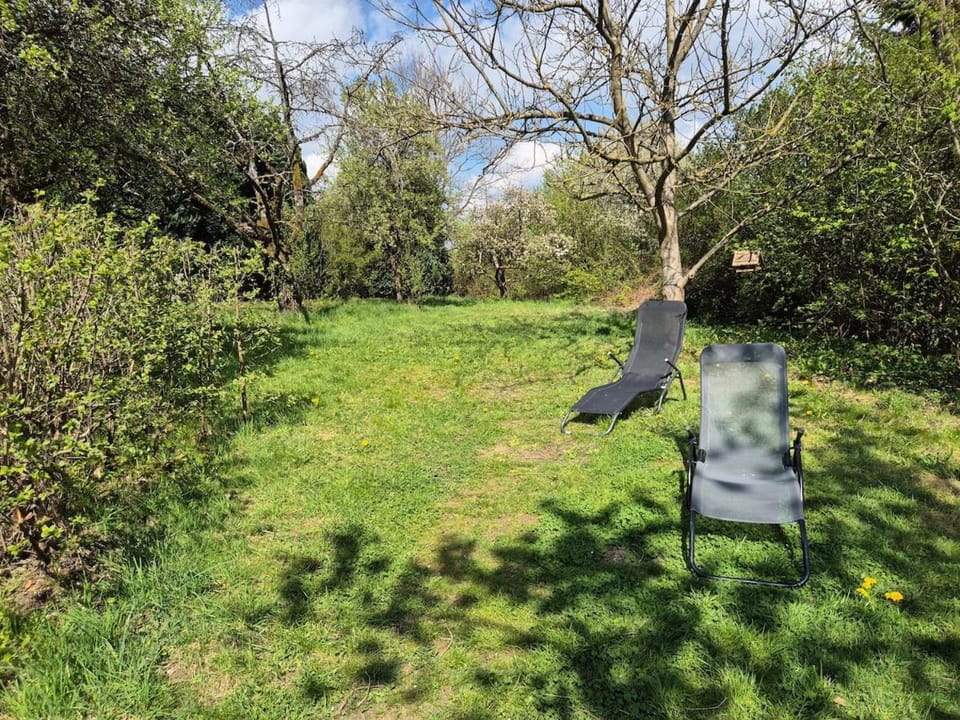 Naturnah in schönem Haus mit Garten und 10 Betten House in North Rhine-Westphalia