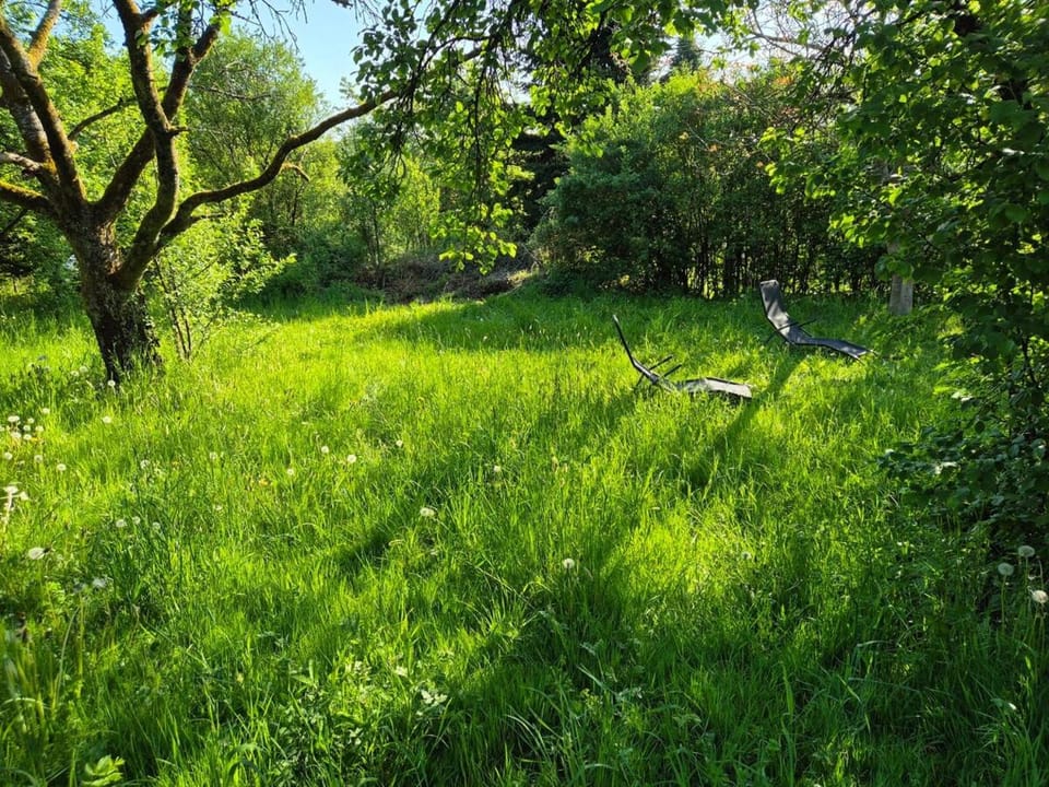 Naturnah in schönem Haus mit Garten und 10 Betten House in North Rhine-Westphalia