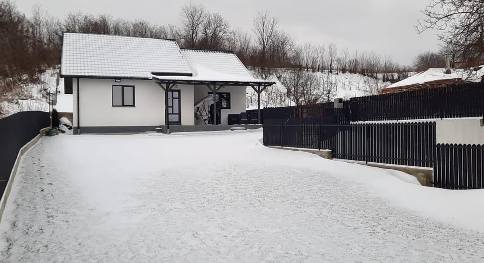 Property building, Day, Winter, Garden