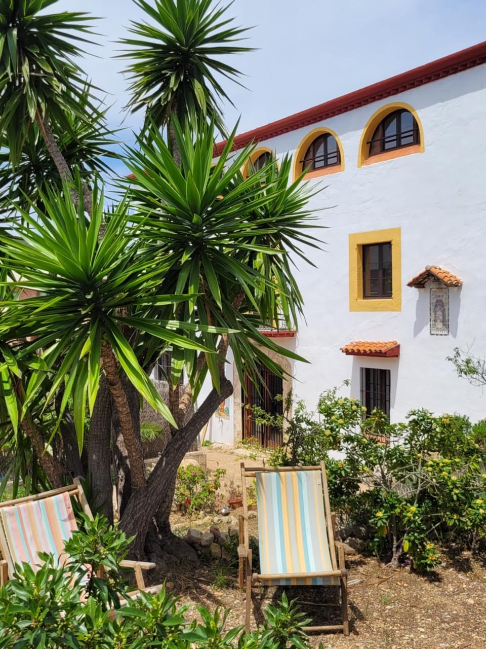 Garden view