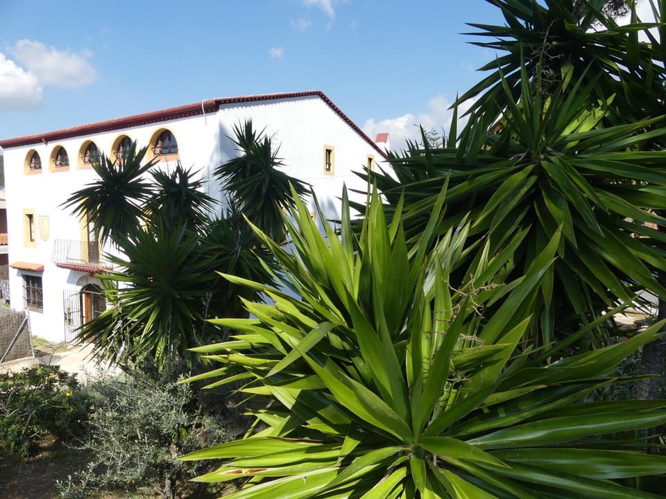 Property building, Day, Garden, Garden view