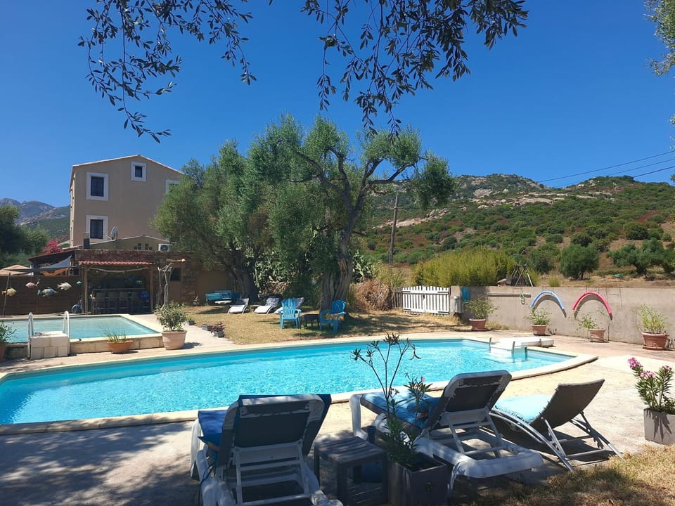 Natural landscape, Swimming pool, sunbed
