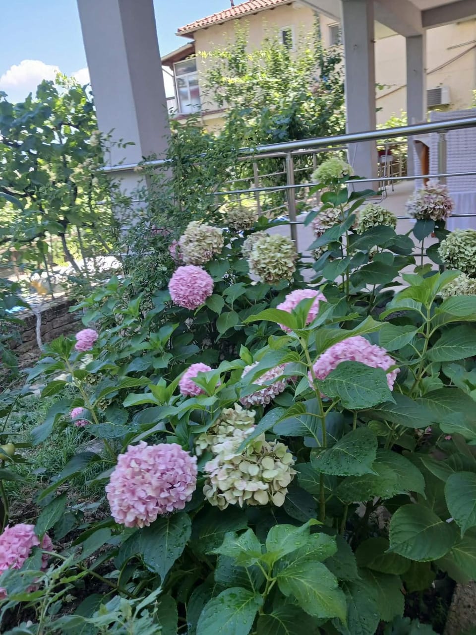 George 1 Ap Gjirokastër Apartment in Vlorë County, Albania