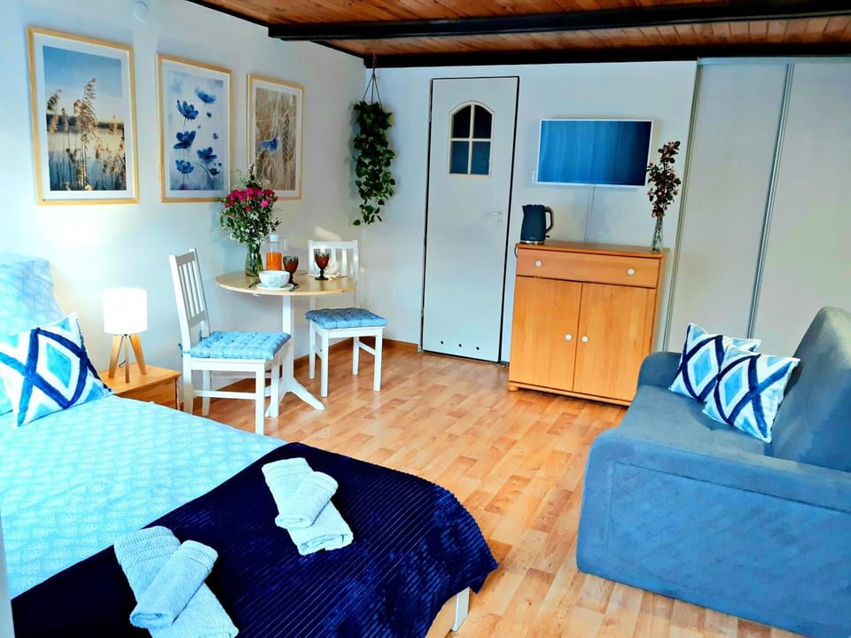 Bed, TV and multimedia, Photo of the whole room