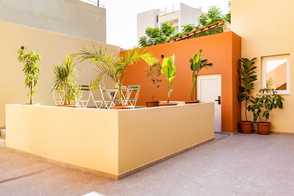 Day, Garden, Garden view