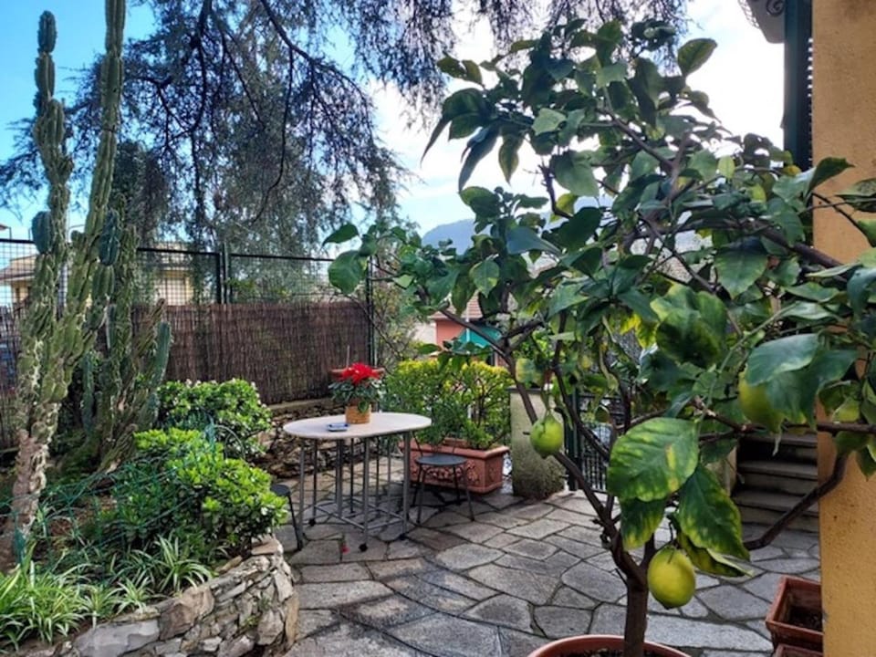 Garden, Garden view