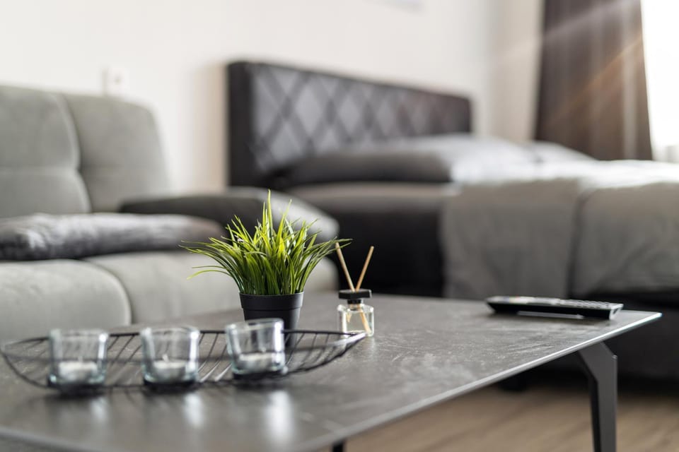 Bed, Living room, Photo of the whole room, Seating area, Bedroom