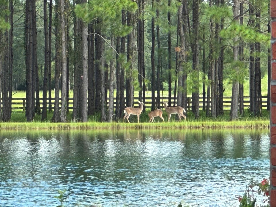 Spacious Waterfront - Sleeps 20! House in Jacksonville