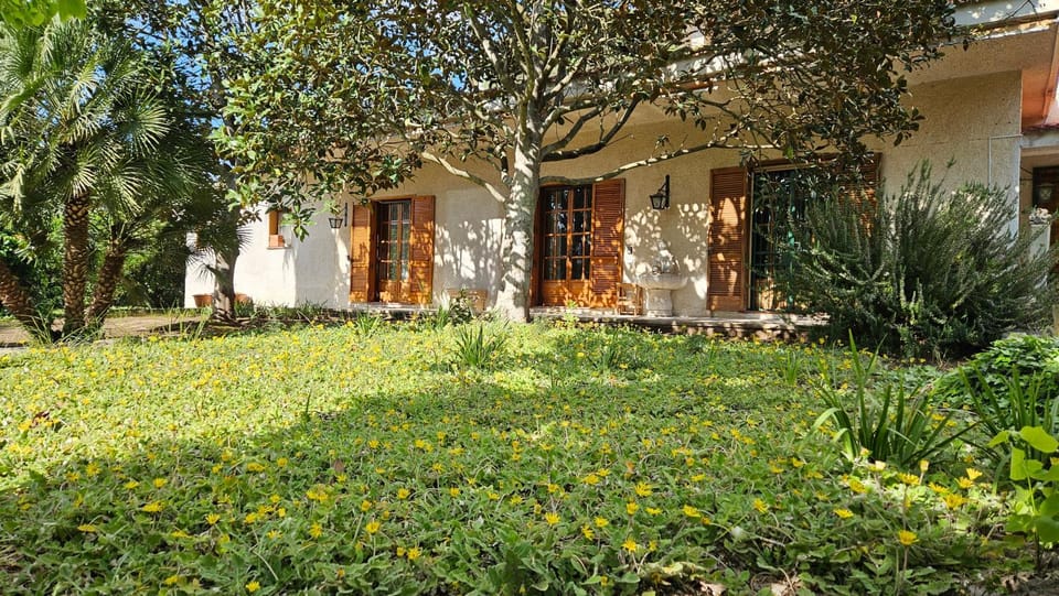 Property building, Garden, Garden view