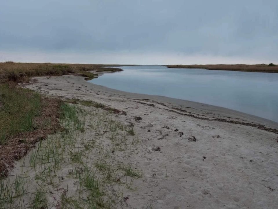 Lake view