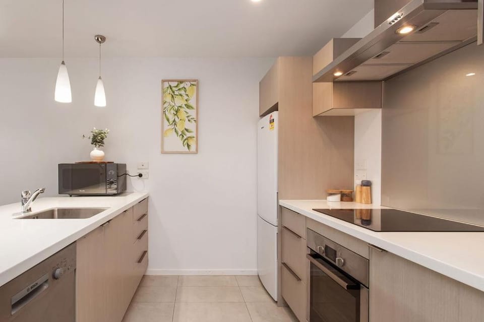 Funky Spacious 2Bdrms 2Bthrms Free Covered Park. Apartment in Christchurch
