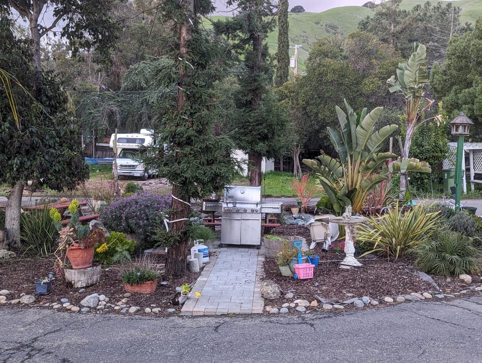 Natural landscape, Garden