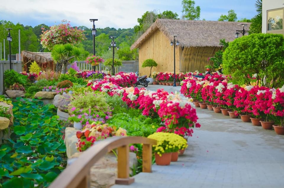 Day, Garden, Garden view