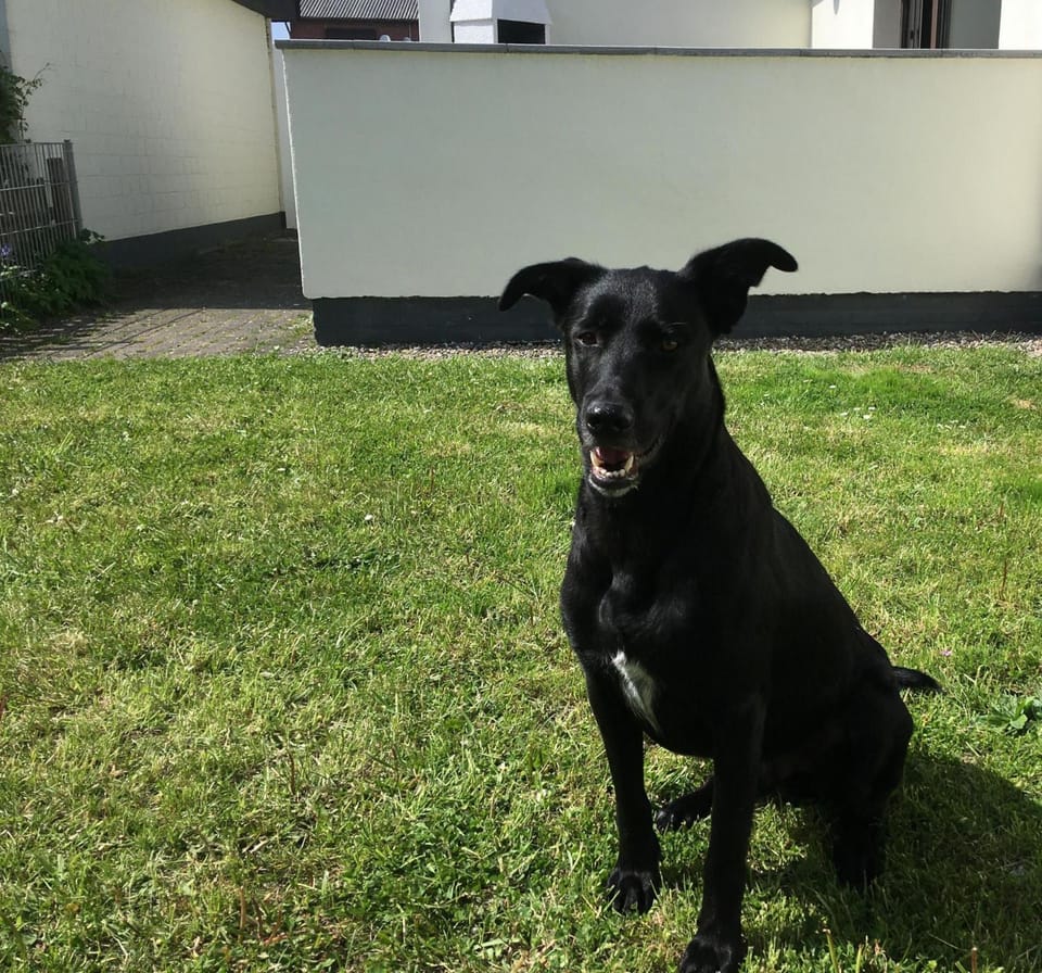 Haus Hallig Hooge Apartment in Schleswig-Holstein