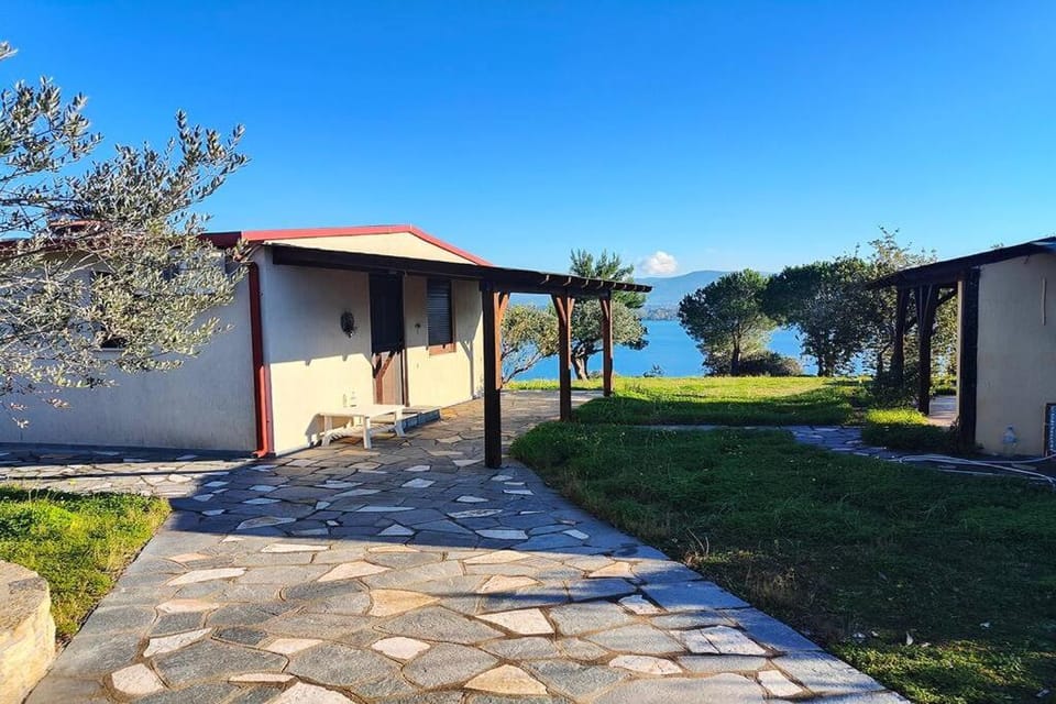 Property building, Garden, Garden view