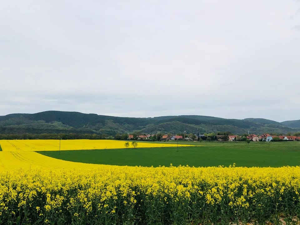 Ferienwohnungen Landliebe "Auszeit mit Wohlgefühl" Apartment in Thuringia, Germany
