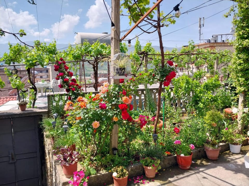 Garden view
