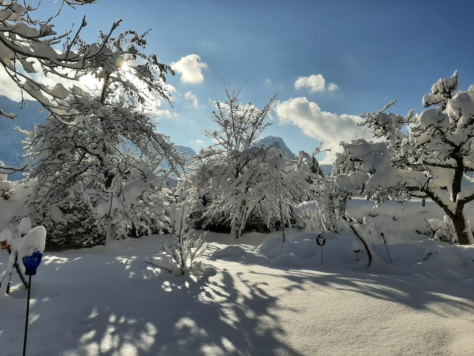 Ferienwohnungen im Griachalgarten - Chiemgau Karte Apartment in Berchtesgadener Land