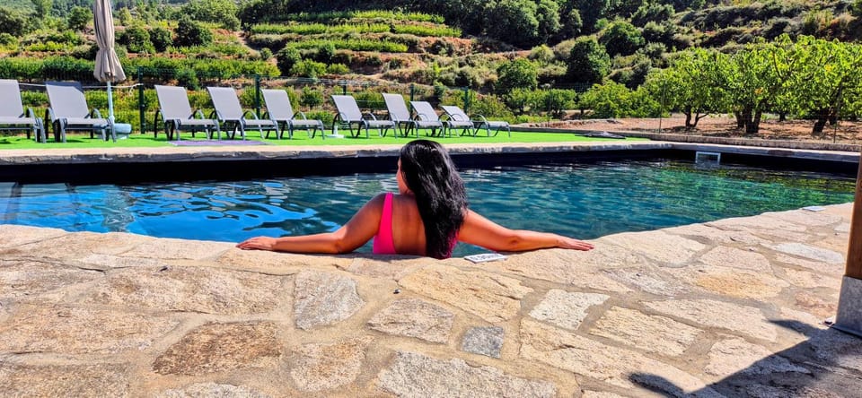 Natural landscape, Swimming pool, sunbed